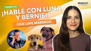 Download lagu Escucha al espíritu de tu perro - Lupe Marimon con Marco Antonio Regil mp3 Download lagu Escucha al espíritu de tu perro - Lupe Marimon con Marco Antonio Regil mp3