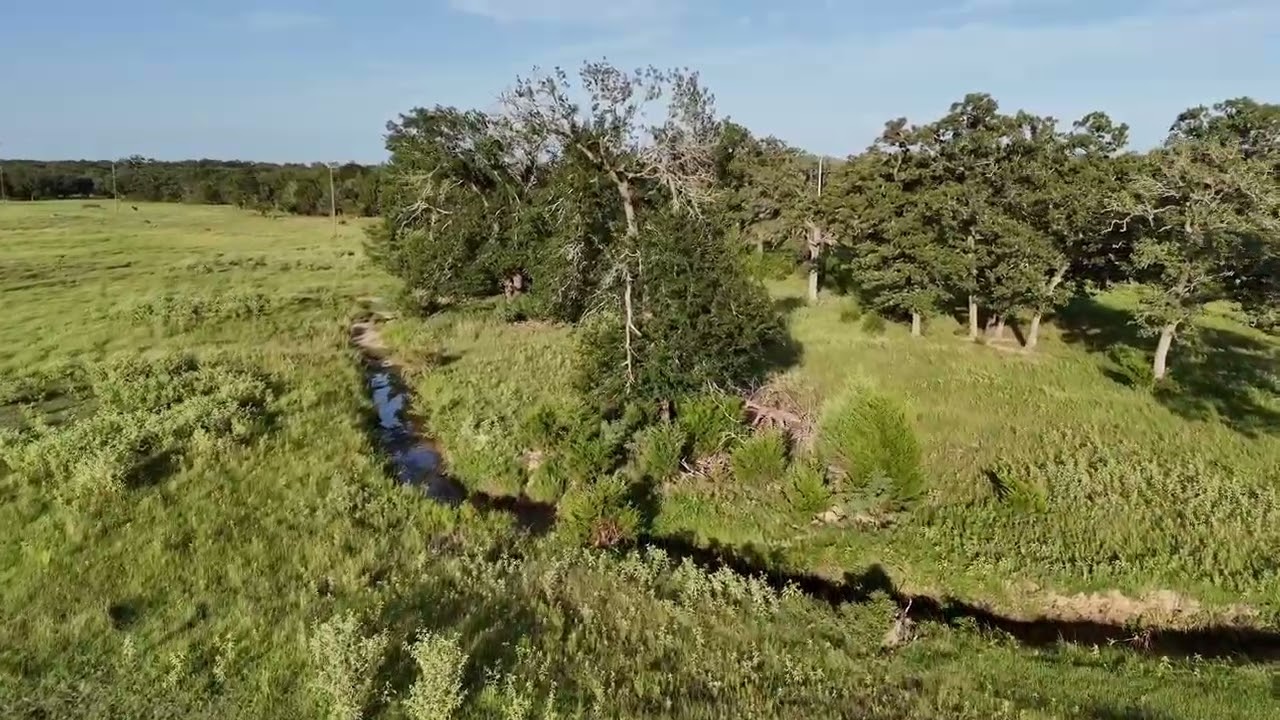 img-video