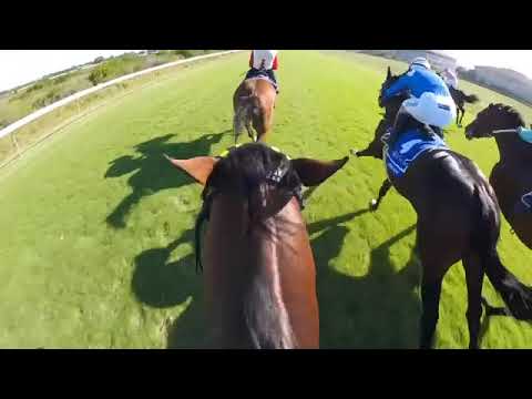 L'ORMARINS QUEENS PLATE 2020