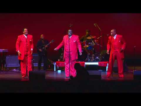 The Softones - Live In Concert