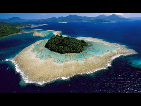 PNG Atoa Guna- Patti Potts Doi | PNG Independence Song 🇵🇬
