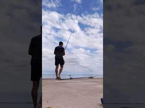 pesca pejerrey guamini, 17 marzo 2026, #pejerreyes #pesca #pejerrey