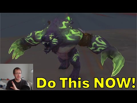 Free Felbears! | Guardian Druid Mage Tower - Midnight Prepatch 12.0