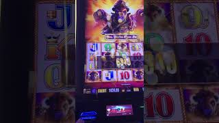 BIG WIN (over 120x!!!) TEN BUFFALO on BUFFALO GOLD slots!