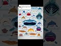 Japanese Angel Shark Capcut Tiktok Youtubeshorts