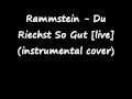 Rammstein - Du Riechst So Gut (instrumental ...