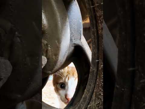 Beaches and sunsets ❤️