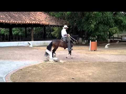 Alabanza de San Isidro