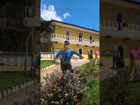 #shorts #short #shortvideo #brasil #minasgerais #beautiful #shortsviral #arte #culture #history