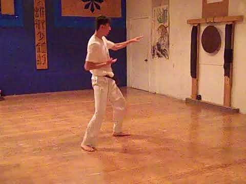 TAEKWONDO FORM HWA-RANG