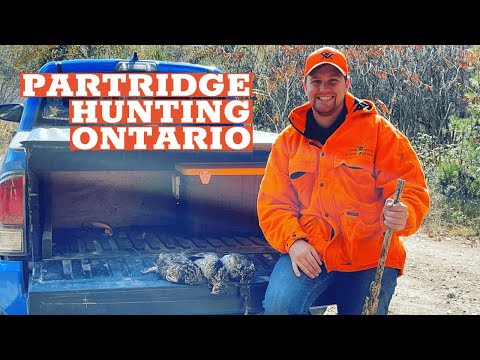 Partridge (Grouse) Hunting Ontario | Early Season