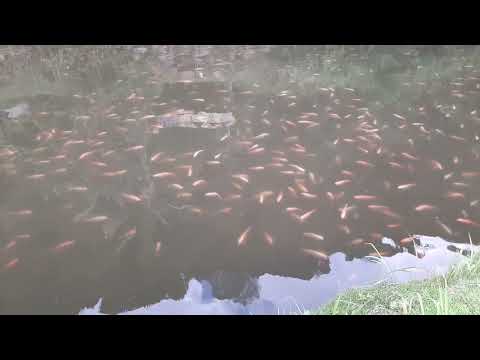 Paisaje via a consaca nariño