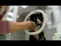 Cat Survives Washing Machine