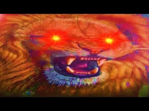 CallMeCarson Big Lion moments