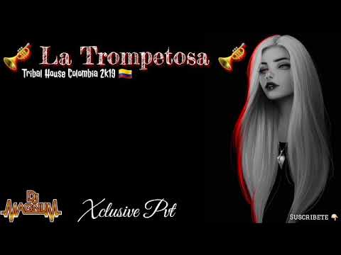 🎺 La Trompetosa XCLUSIVE PVT 🎺 ( Guaracha , Aleteo , Zapateo ) ❌ DJ MAGNUM CHANNEL OFFICIAL 2K19 ⚡