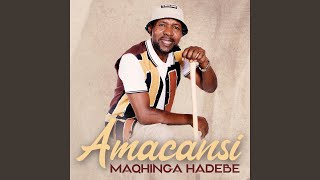 Download lagu Ngikakwe Zigwili mp3