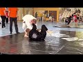 Kirill Nesterov Egor Borodin