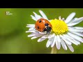 Hobbyfoto's van Ab Donker halen regelmatig de media [RTV Utrecht]