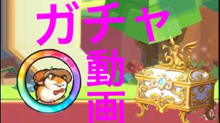 🐹PU 宝箱開封動画！