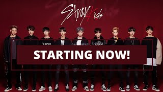 Download lagu Stray Kids ep 4 part 1 (eng sub) mp3 Download lagu Stray Kids ep 4 part 1 (eng sub) mp3