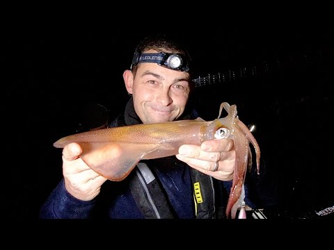 Sea Fishing for Squid - How to catch Squid - Squid jigs and lure rigs | The Fish Locker