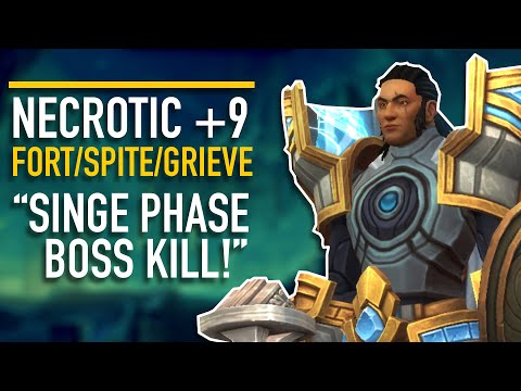 +9 Necrotic Wake | Prot Paladin Shadowlands