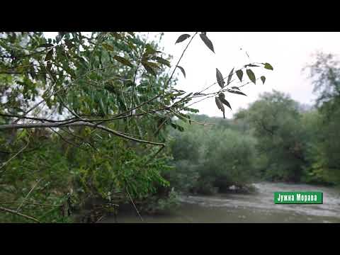 Reke i jezera ep. 49 11.11.2020. Južna Morava