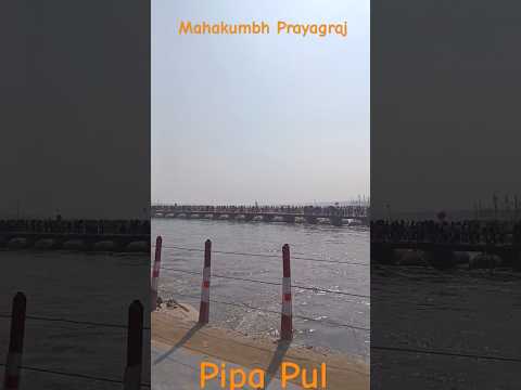 Mahakumbh #shortvideo #prayagrajkumbh #prayagraj #viralvideo #trendingshorts #hindu #mahakumbh2025