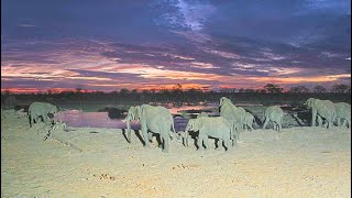 EarthCam Live:  Hideaways Camp Kuzuma, African Watering Hole (Chobe, Botswana)