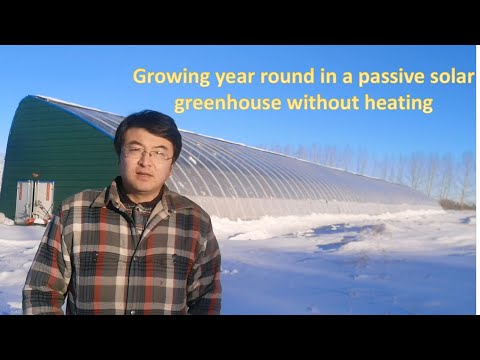 Growing year round in a passive solar greenhouse without heating