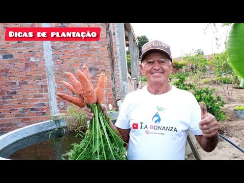 , title : 'PÉS DE CENOURA APÓS 20 DIAS - Dicas de Plantação #22'