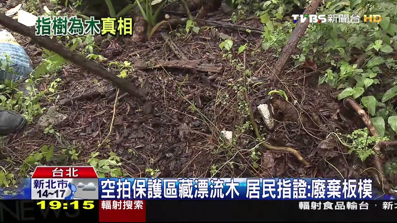 打臉潘建志？藏10年漂流木　農委會證實「香蕉樹」
