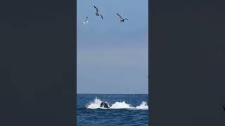 #Pupo---#Senza Fortuna .