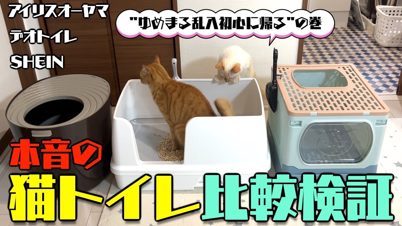 【猫トイレ徹底比較】これが最後の買い物にしたい！！！
