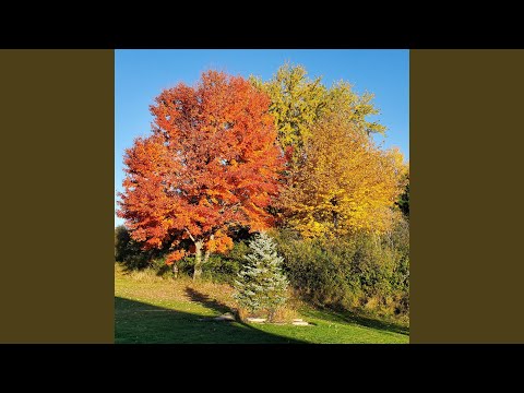 Download Stanley Okorie Hold On 3gp Mp4 Codedwap