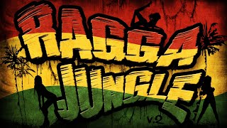 RAGGA JUNGLE - Drum n Bass Mix (v.2)