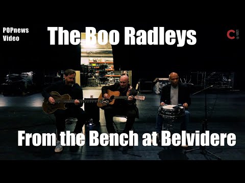 Le Cargo ! and POPnews