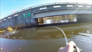 I Found the BEST SPOT!! Incredible Pike Fishing