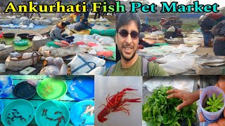 অঙ্কুরহাটির Howrah Pet Market | Ankurhati Aquarium Fish Haat | Aquarium Fish Pet Market | Fish 