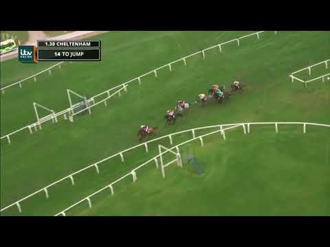 2017 JLT Novices' Chase - Cheltenham Festival