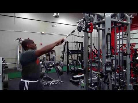 Vince Taylor Grips - VT Grips - Back Training