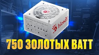 Bloody BD-PS750G Power Supply Review
