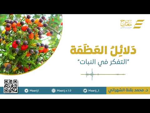 دلائل العظمة - التفكَر في النبات 