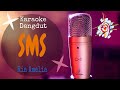Karaoke SMS - Ria Amelia (Karaoke Dangdut Lirik Tanpa Vocal)