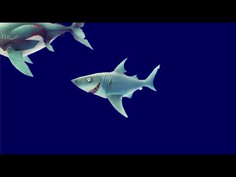 ホオジロザメ vs オオメジロザメ