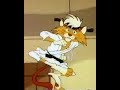 El Gato Karateka 2 Capitulos En Español 1