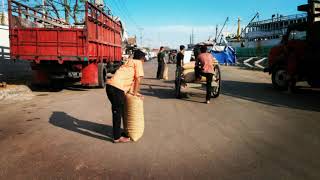 Download lagu Story wa Tanjung mas Ninggal Janji Semarang📍 mp3