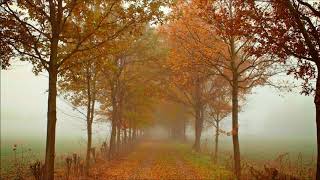 Emancipator - Goodness