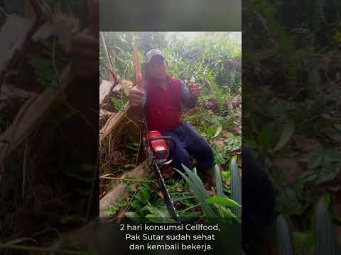 Pengalaman Pendukung Pemulihan Pasien Malaria