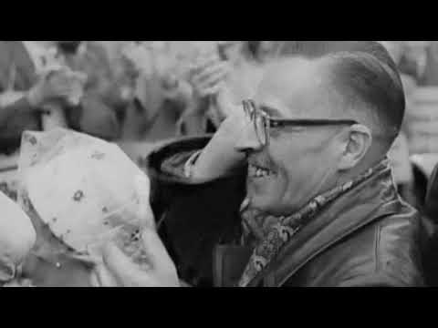 Wie die Mauer fiel DVD